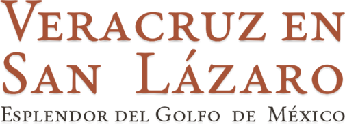 logo-vera